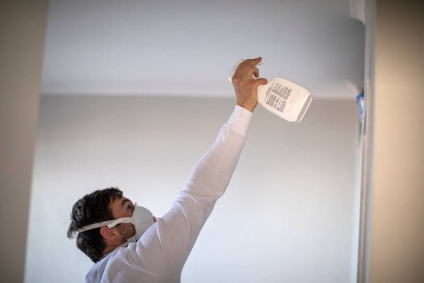 Best Fast Mold Removal  in Phelan, CA
