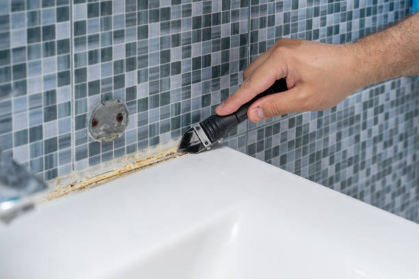 Best Mold Damage Repair  in Phelan, CA